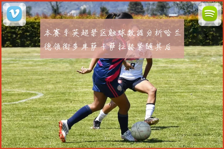 本赛季英超禁区触球数据分析哈兰德领衔多库萨卡萨拉赫紧随其后
